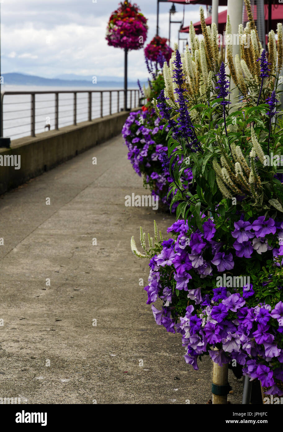 Waterfront sidewalk Stock Photo