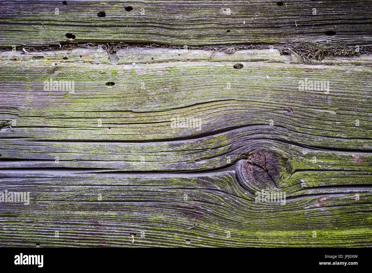 Texture of wood background old tree brown Stock Photo - Alamy