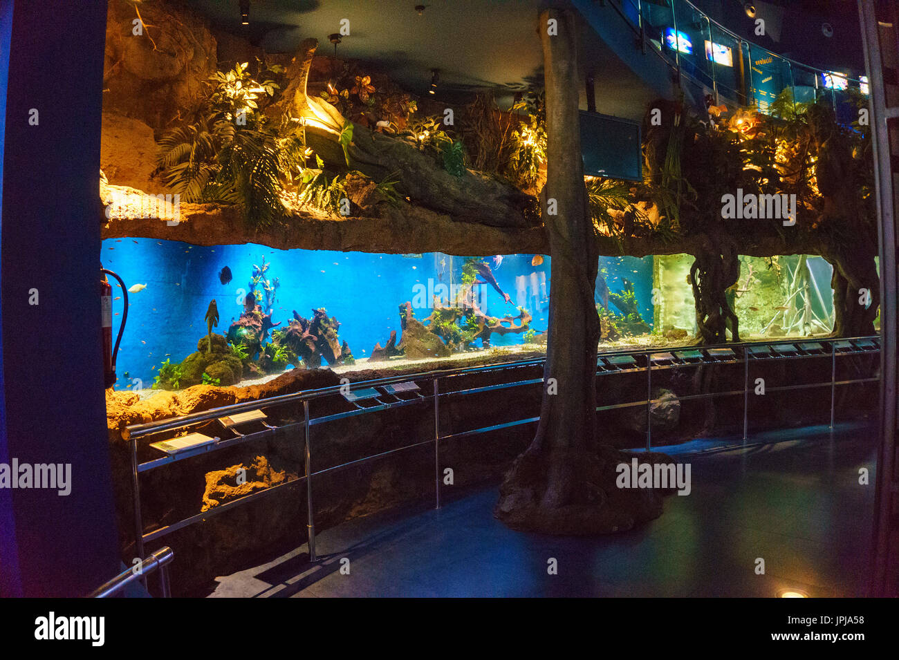 Interior of the Aquarium Barcelona (L'Aquarium de Barcelona). Its the