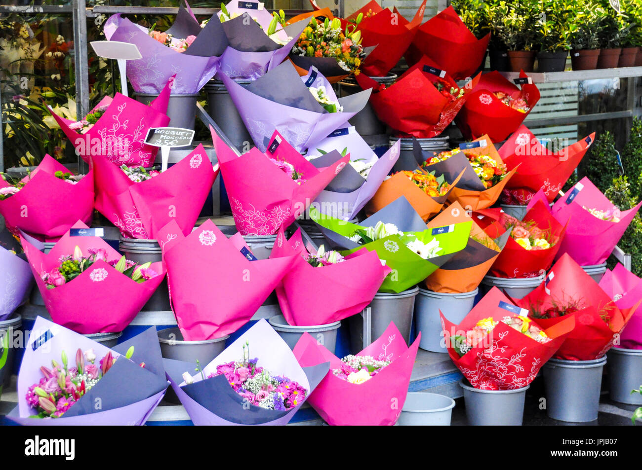 Display of flowers wrapped in colourful paper in front of a florist shop in Paris France. Stock Photo