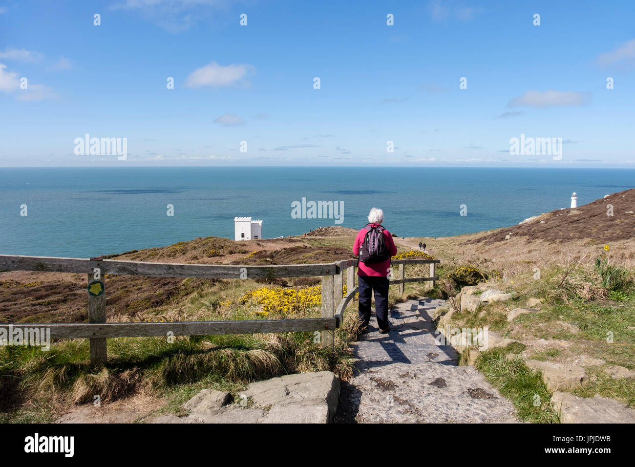 Senior walker on steps down to Ellin's Tower RSPB Visitor Centre on coast at South Stack, Holyhead, Holy Island, Isle of Anglesey (Ynys Mon) Wales UK Stock Photo