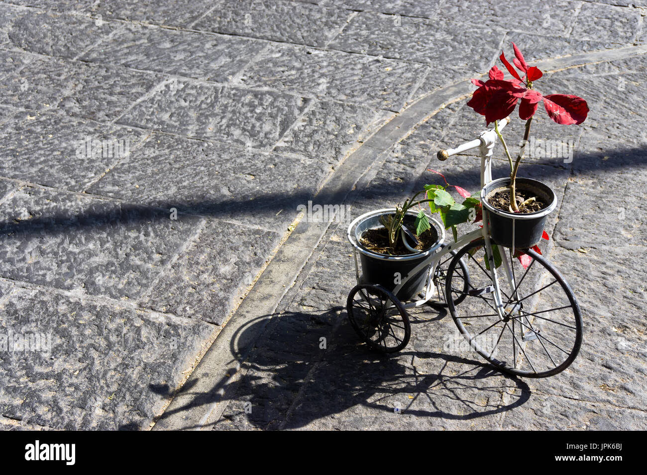 Tricycle with plants on the street in Puebla, Mexico Stock Photo Alamy