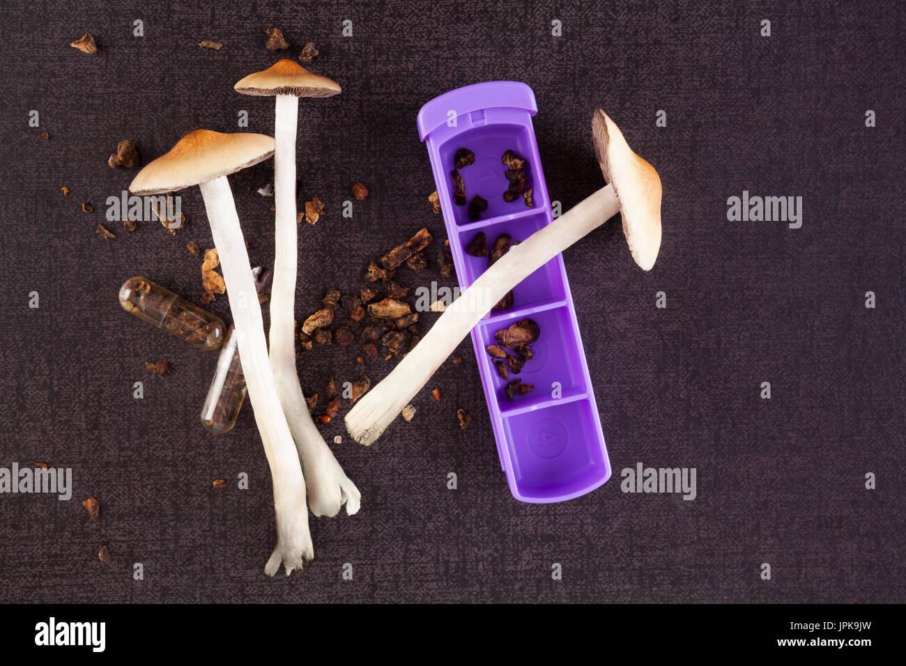 Fresh and dried psilocybin magic mushrooms on black surface, top view. Alternative medicine. Microdosing. Stock Photo