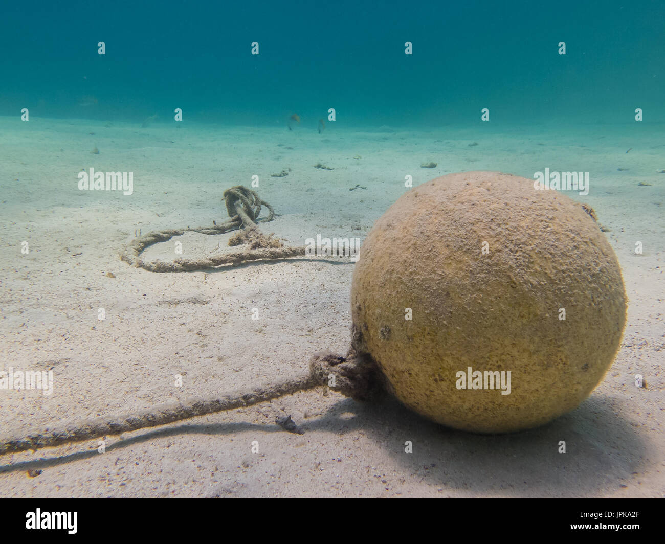 Underwater Marker Stock Photo Alamy