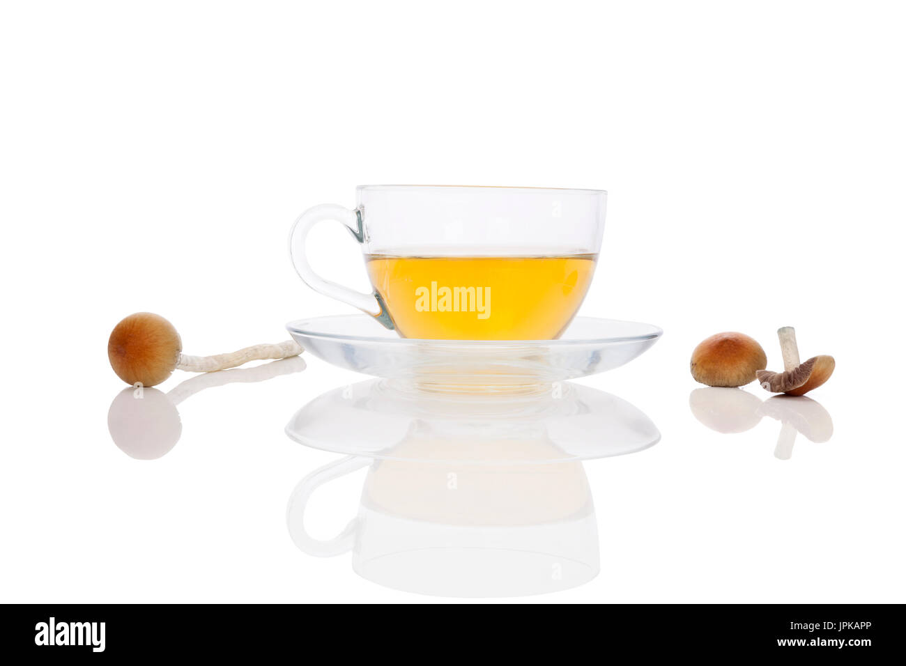 Psychedelic mushroom tea in cup with fresh psilocybin mushrooms