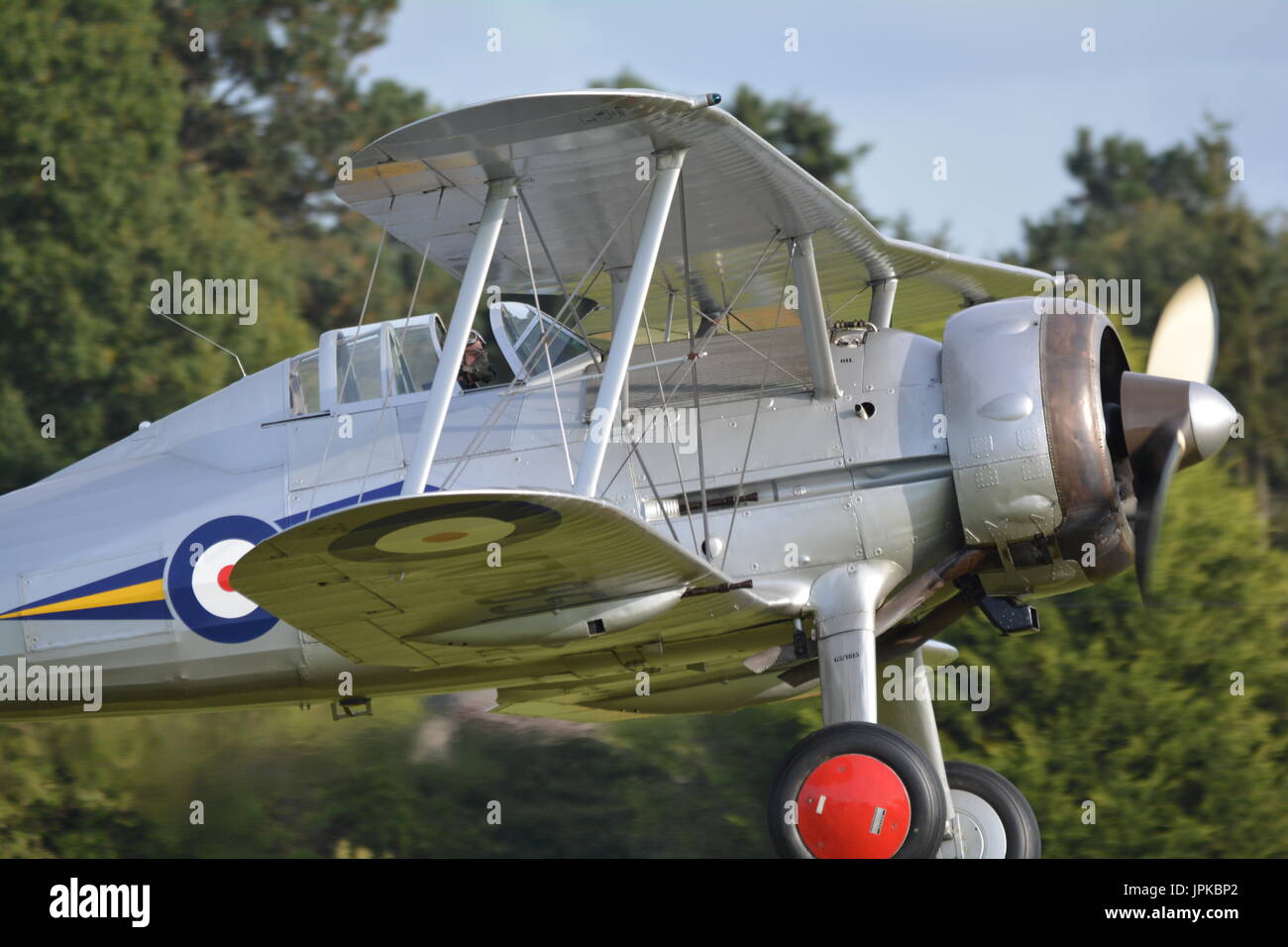 Grumman wildcat, Martlett world war 2 fighter Stock Photo