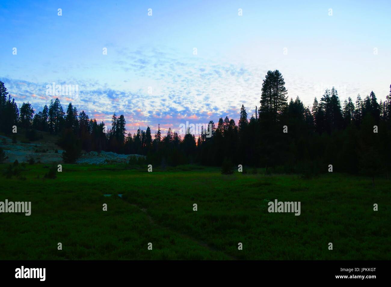 Wolverton Meadow at dusk, tree-lined high mountain meadow with pink and blue clouds, Sequoia National Park, California, United States Stock Photo