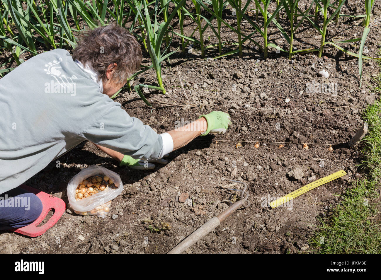 Mohawk Valley, New York state - Woman planting onion sets in her home garden. Stock Photo