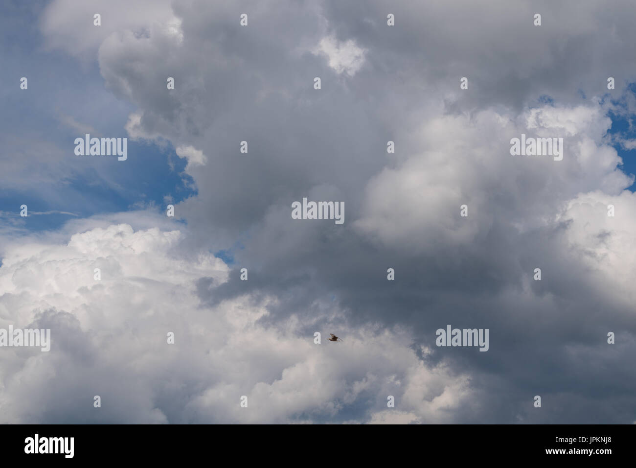 Sky and clouds Stock Photo