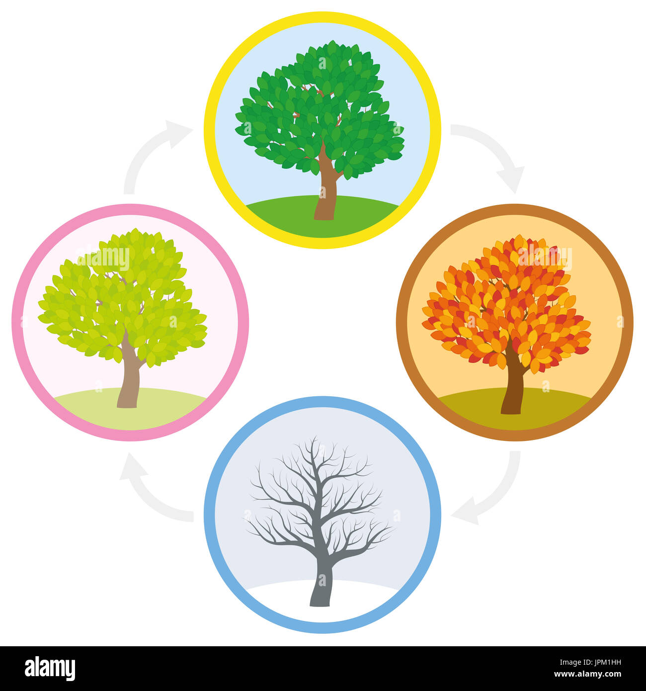 Circle four seasons hi-res stock photography and images - Alamy