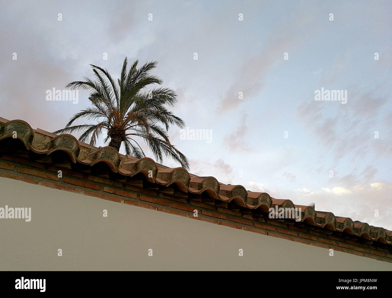 Dried palm tree leaves roof hi-res stock photography and images - Alamy