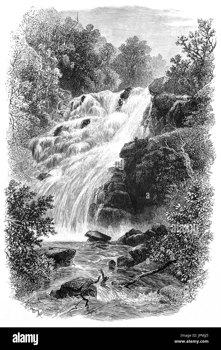 1870: Torc Waterfall or Torc Cascades is a waterfall of the  Owengarriff river at the base of Torc Mountain, near Killarney in the Ring of Kerry, in Killarney National Park, County Kerry, Ireland. Stock Photo