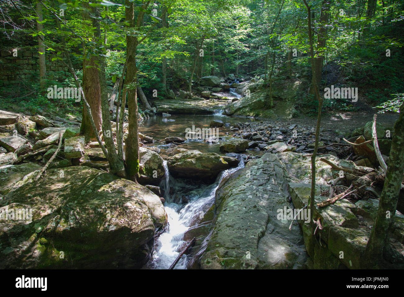 LaurelSnow State Natural Area stream crossing from bridge Stock Photo