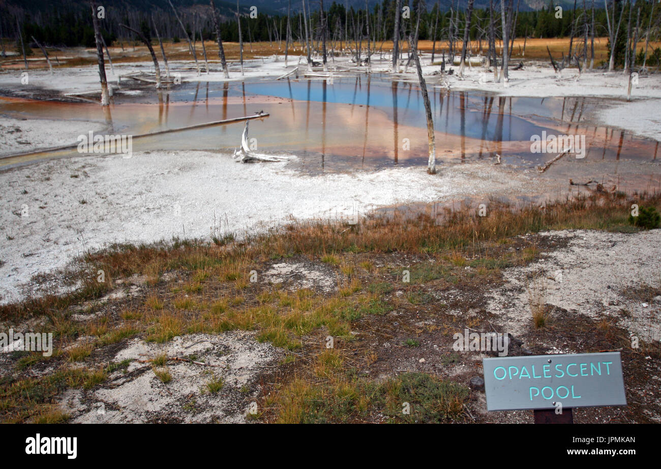 Opalescent Pool hot spring in the Black Sand Geyser Basin in Yellowstone National Park in Wyoming USA Stock Photo