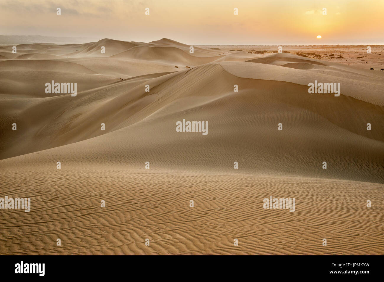 First light on the amazing sand dunes of Eucla. Stock Photo