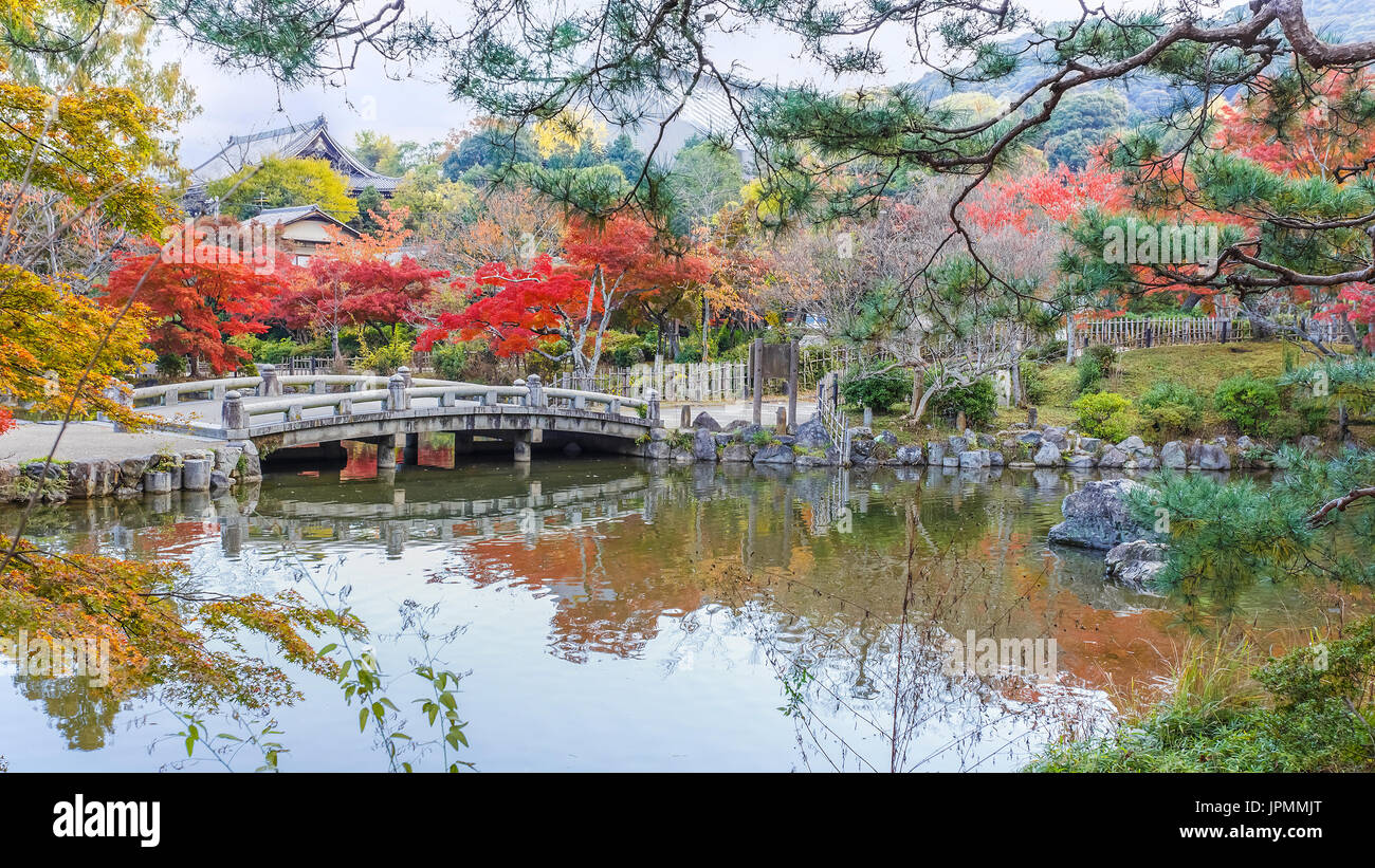 Colorful Autumn at Maruyama Koen (Maruyama Park) in autumn, in Kyoto ...