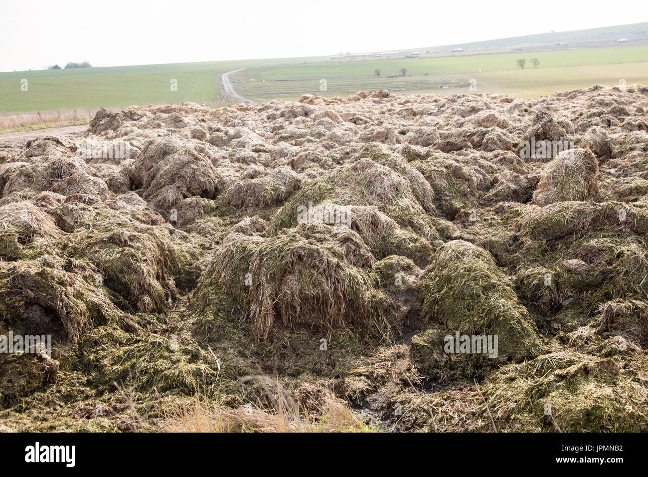 Organic manure piled in field fertiliser chalk downland fields, near Devizes, Wiltshire, England, UK Stock Photo
