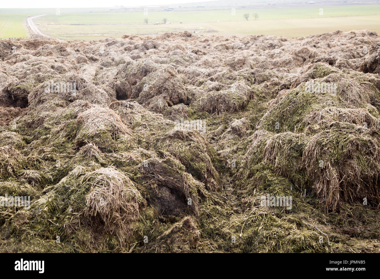 Organic manure piled in field fertiliser chalk downland fields, near Devizes, Wiltshire, England, UK Stock Photo