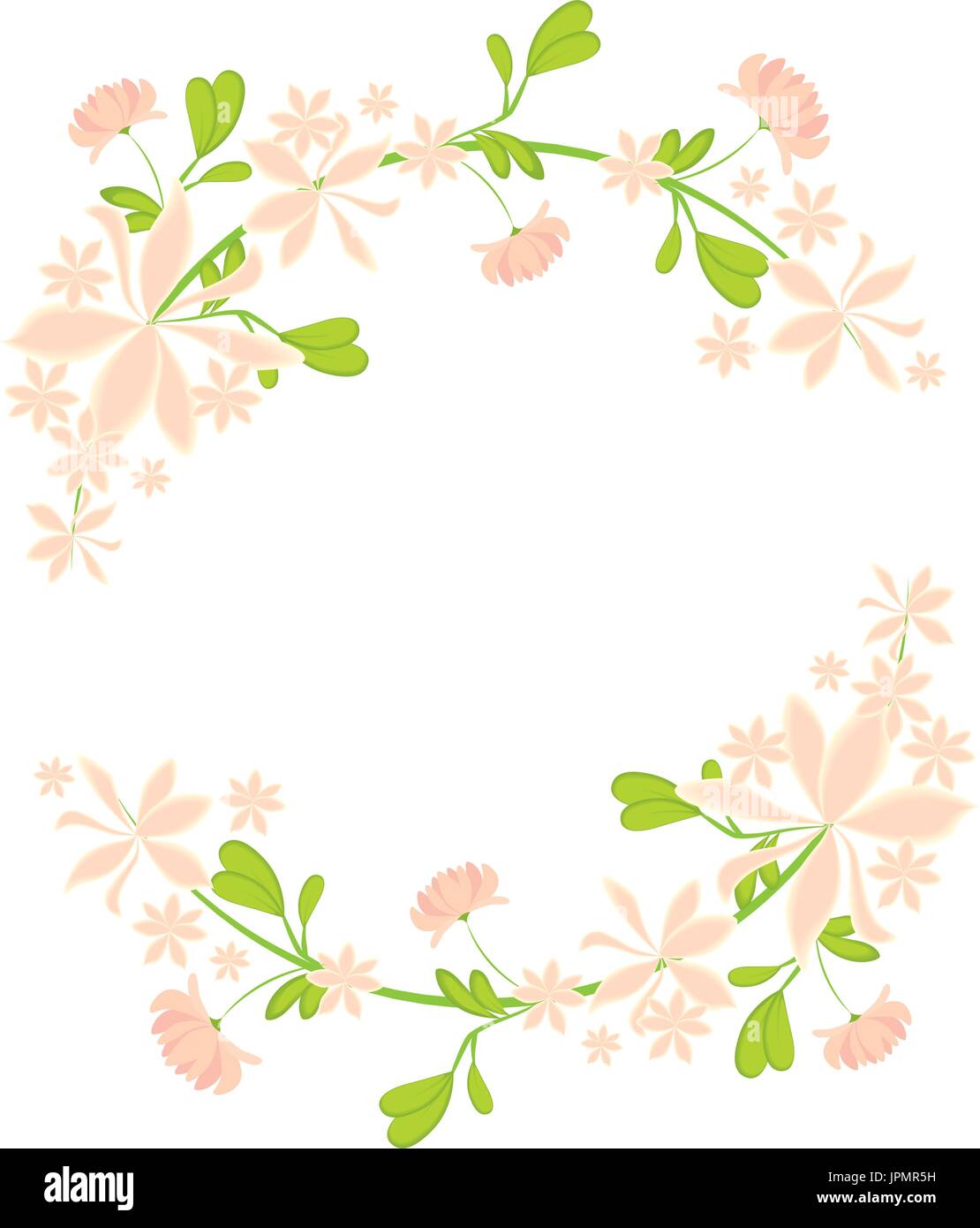 decorative frame with flowers over white background vector illustration ...