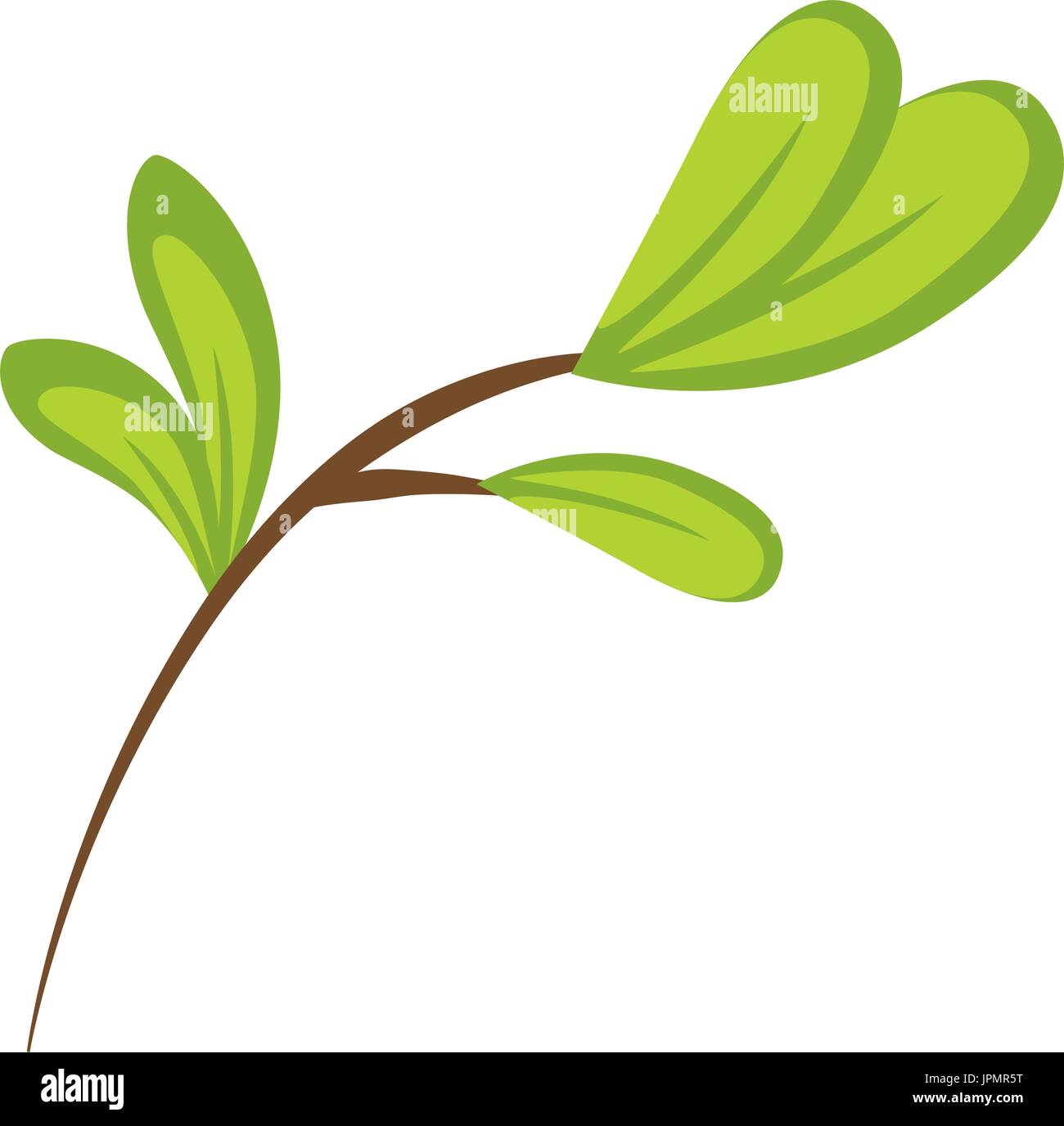 leaves icon over white background vector illustration Stock Vector ...
