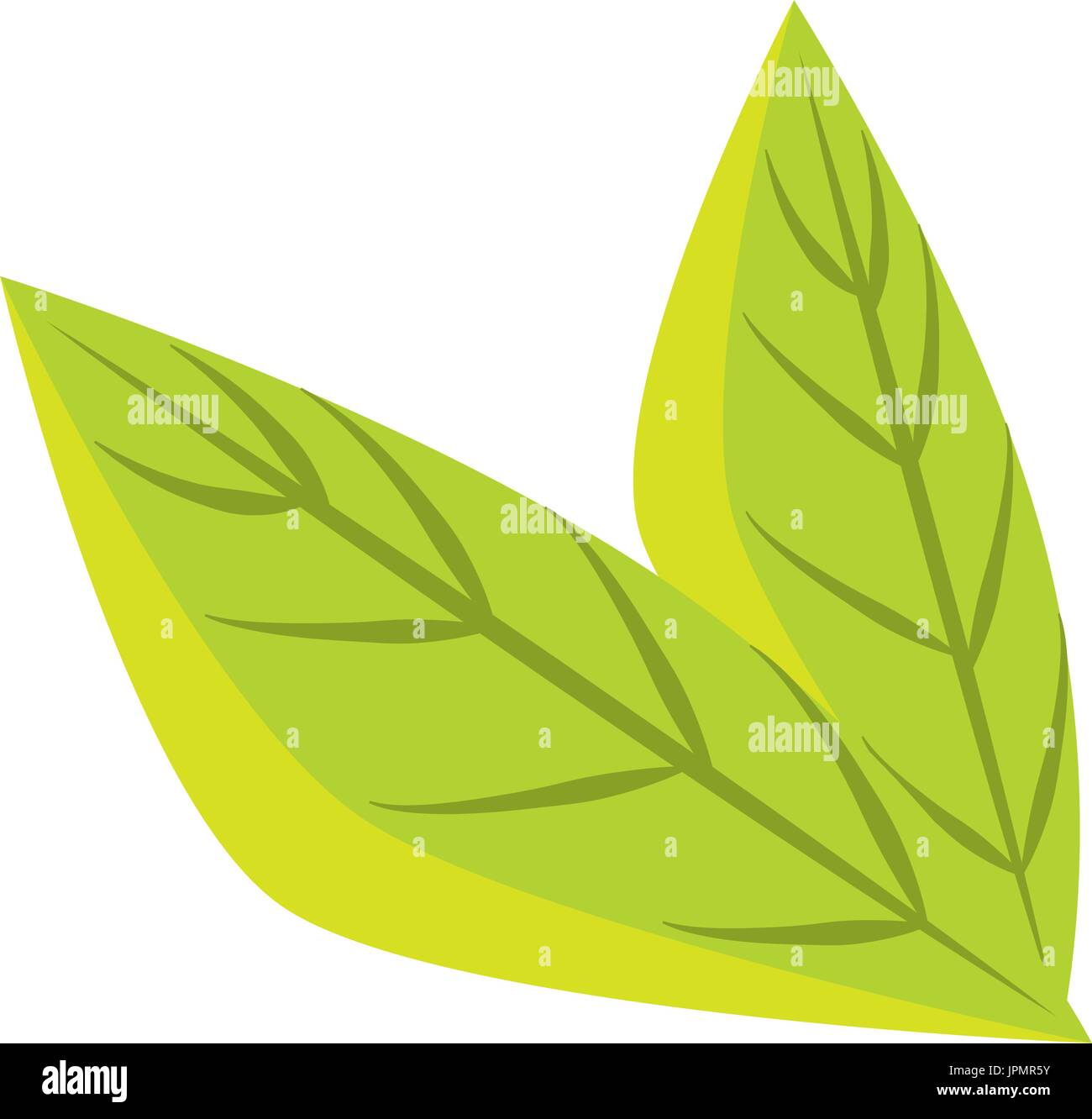 leaves icon over white background vector illustration Stock Vector ...