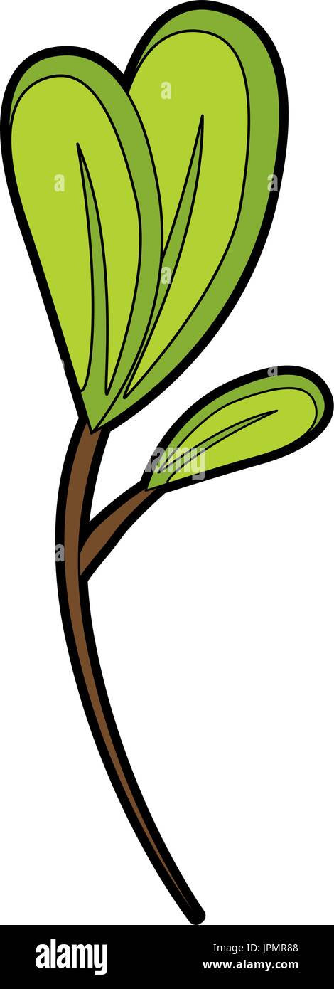 leaves icon image over white background vector illustration Stock ...
