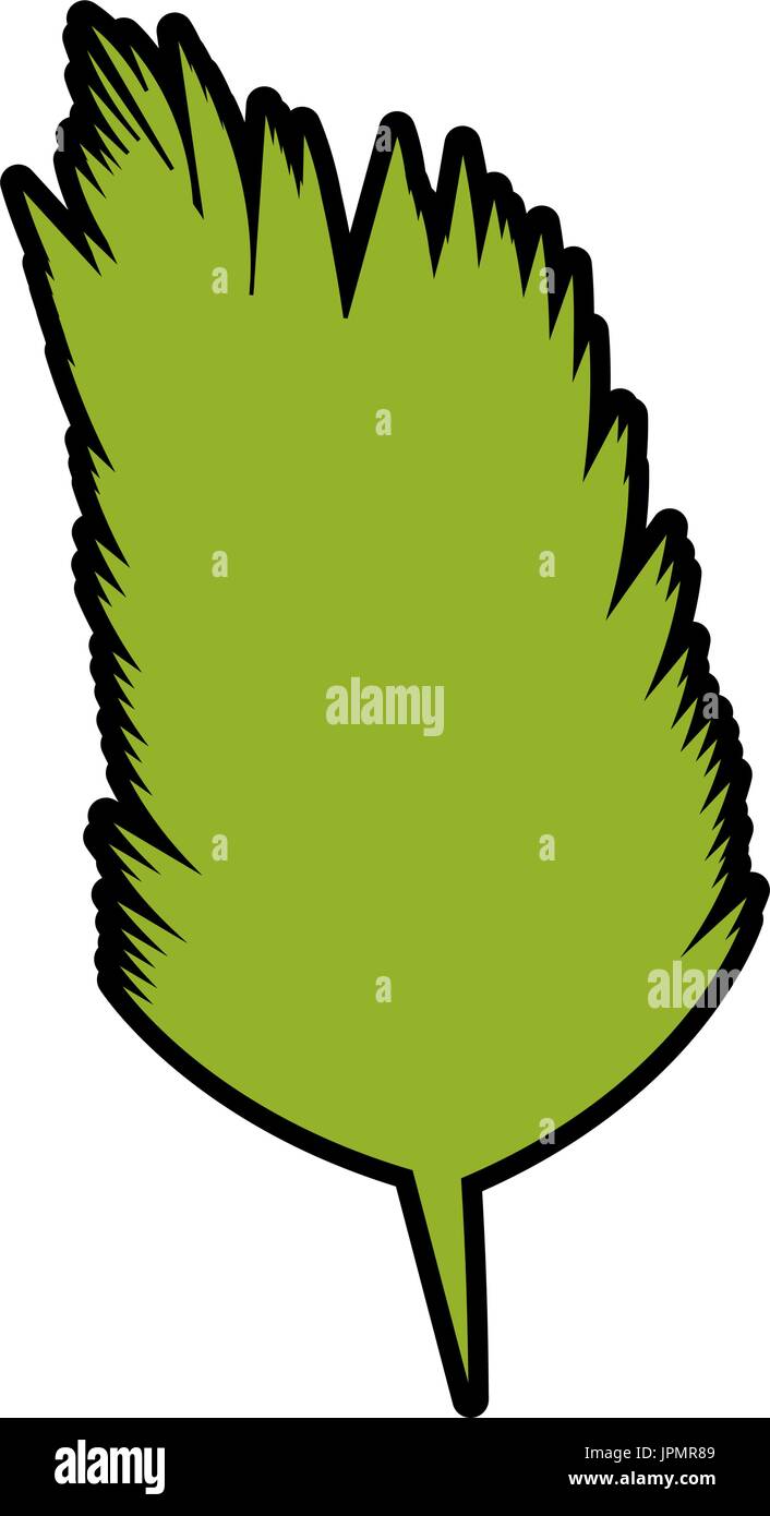 leaves icon image over white background vector illustration Stock ...