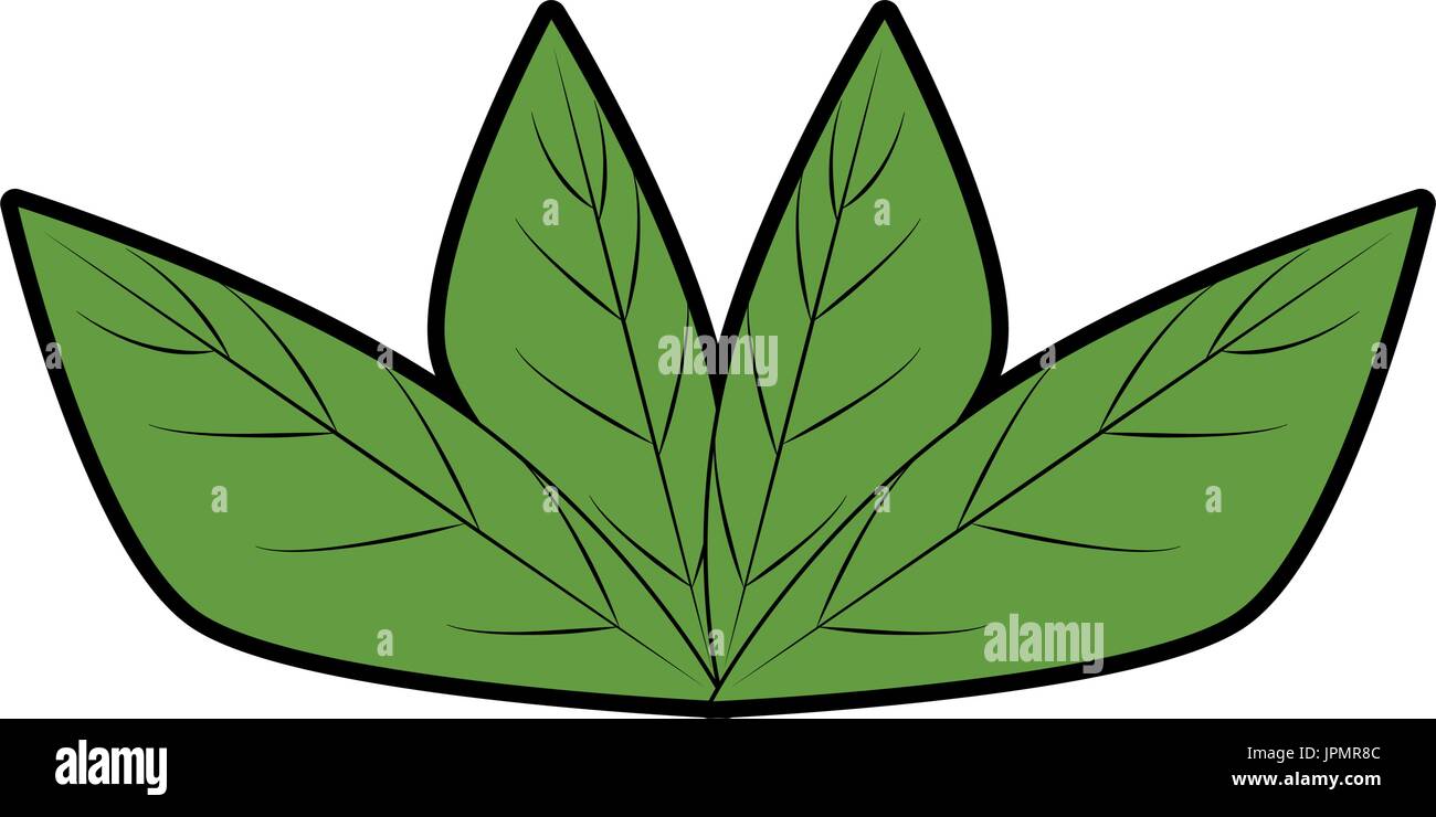 leaves icon image over white background vector illustration Stock ...