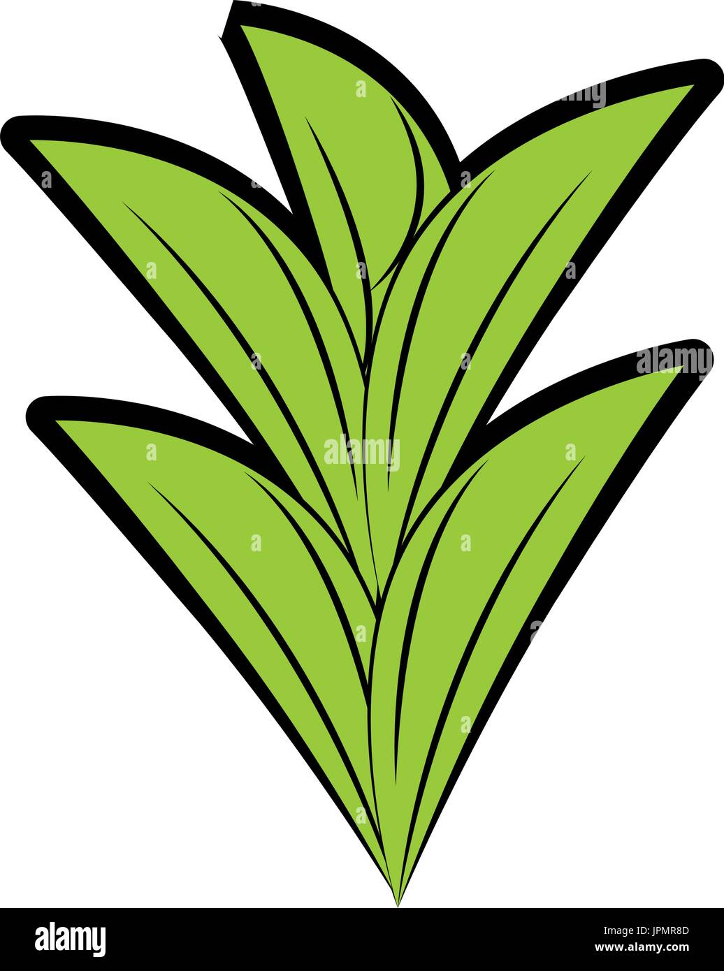 leaves icon image over white background vector illustration Stock ...