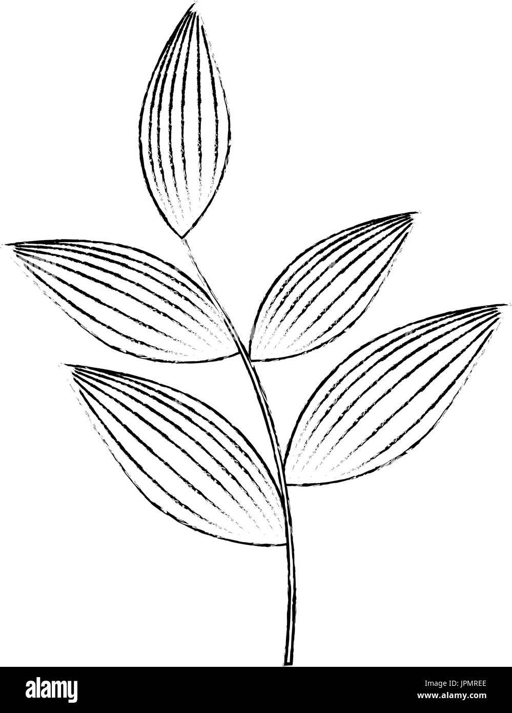 leaves icon image over white background vector illustration Stock ...