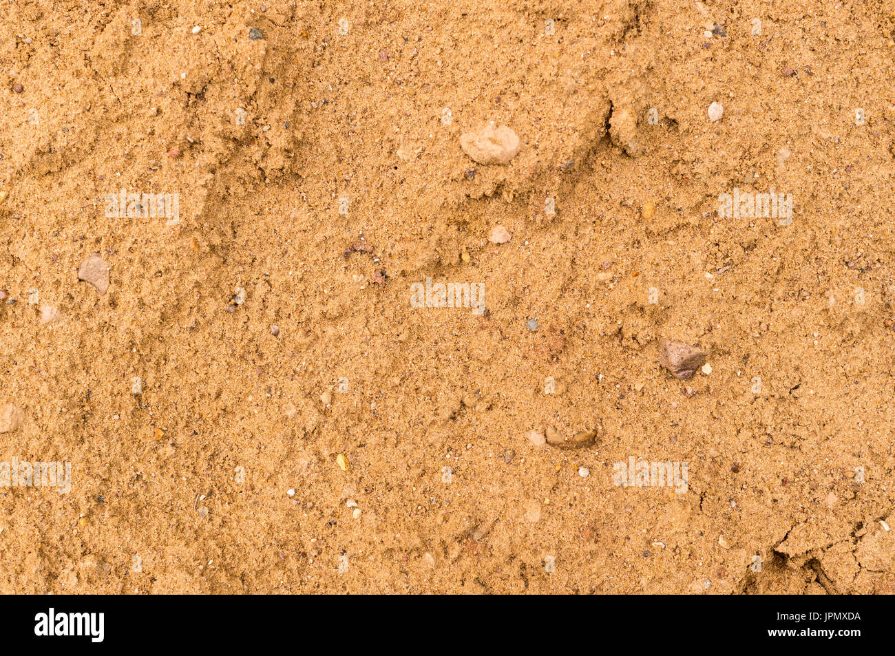 wet yellow sand texture. beach, background. Stock Photo