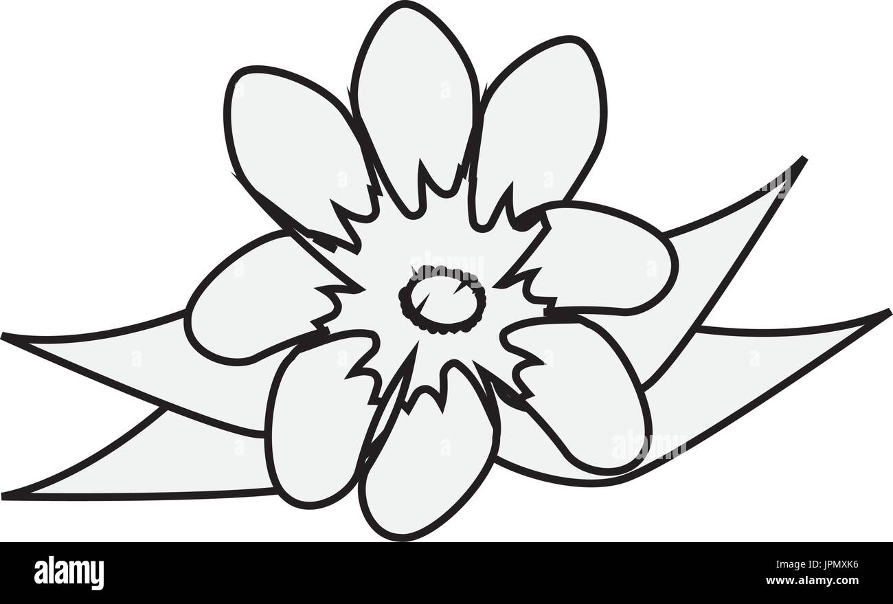 beautiful flower icon over white background vector illustration Stock ...