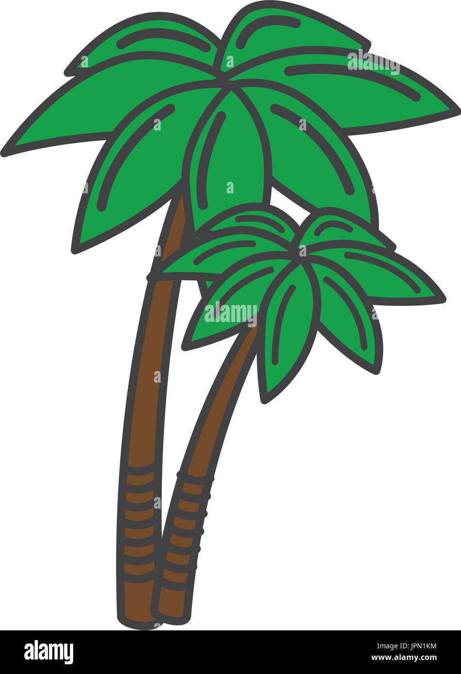 tree palms isolated icon vector illustration design Stock Vector Image ...