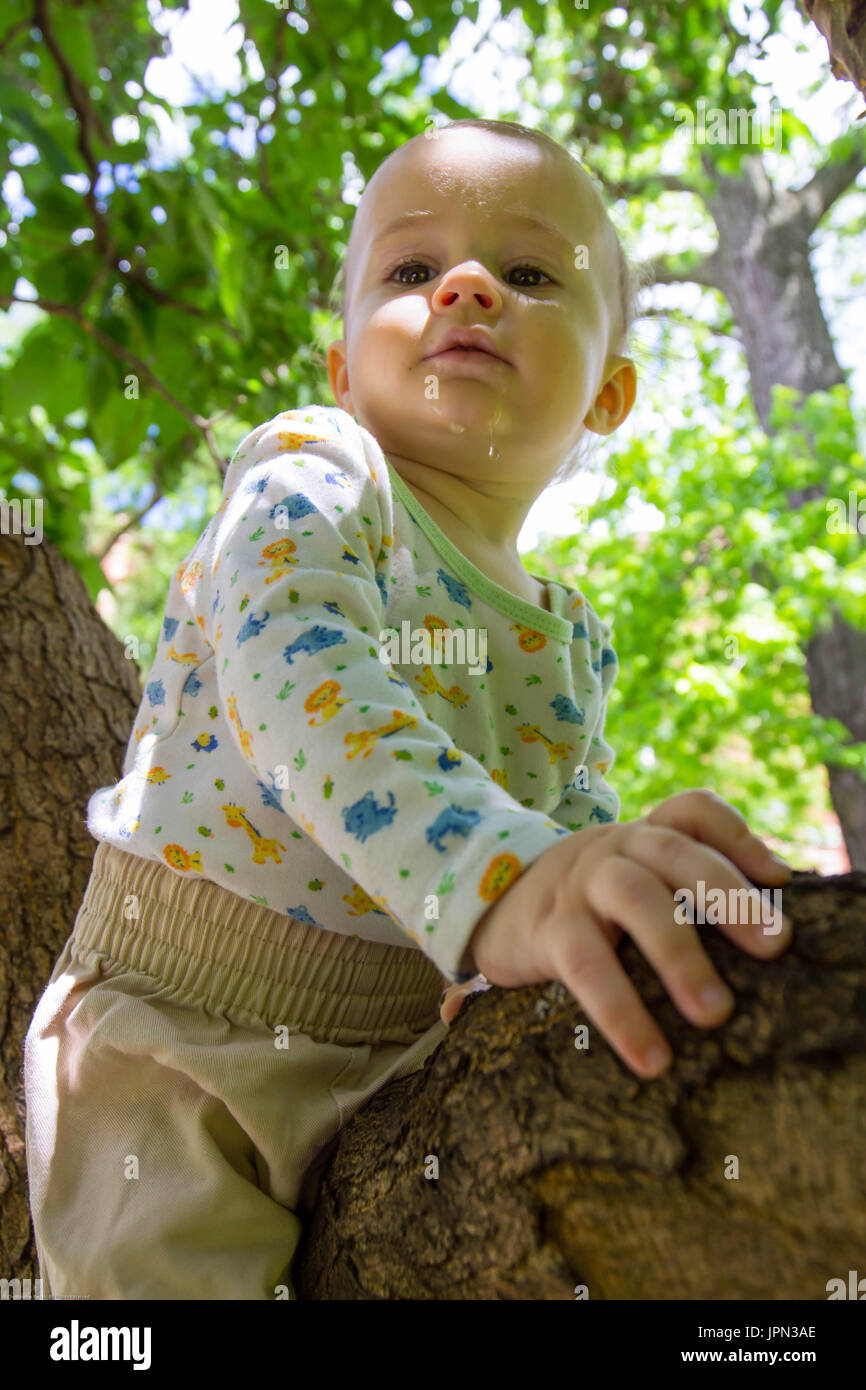 little guy in a tree Stock Photo