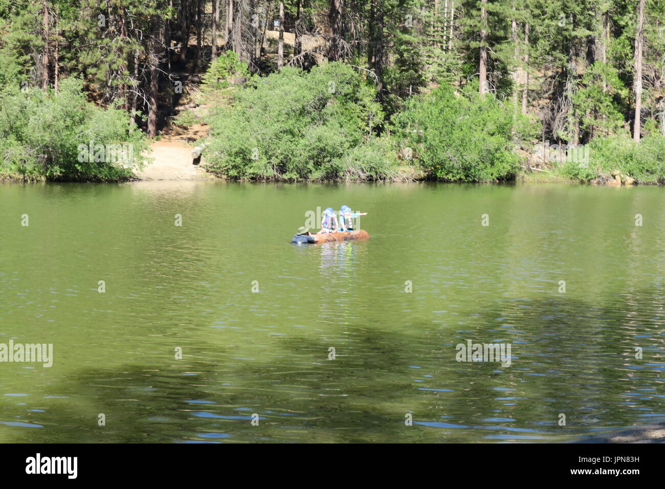 Log floating adventure, Dad with kids on Hume Lake, Fresno County, California Stock Photo
