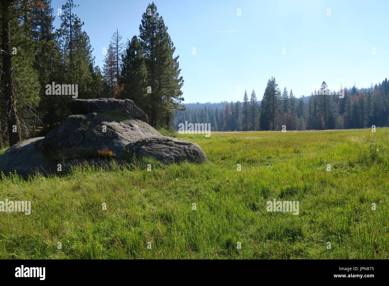 Large boulder stands in a high mountain meadow, Indian Basin, Sequoia National Park, California, United States Stock Photo