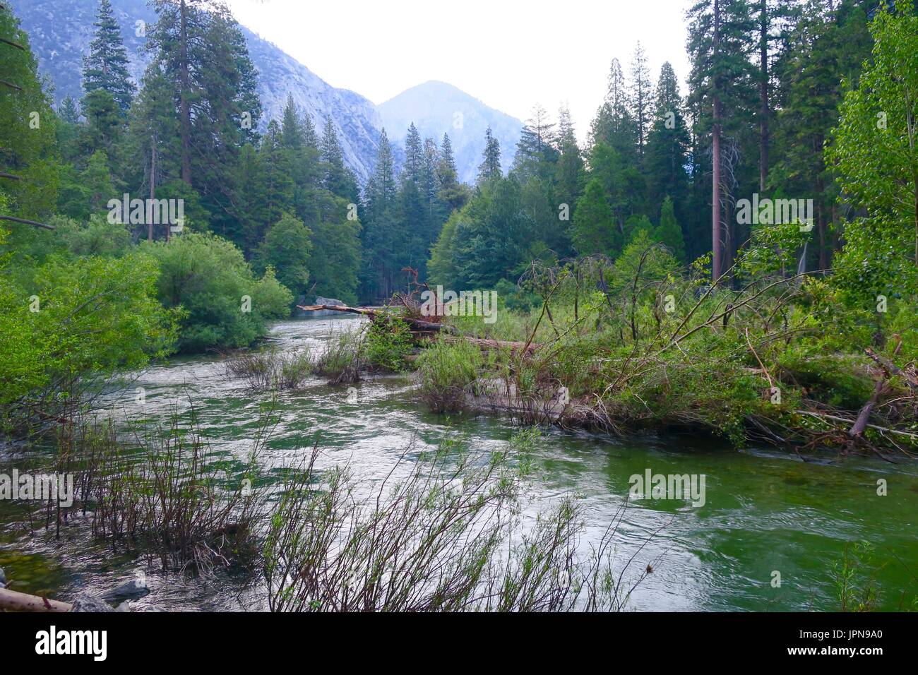 Bend in the King's River, Kings Canyon National Park, California, United States Stock Photo