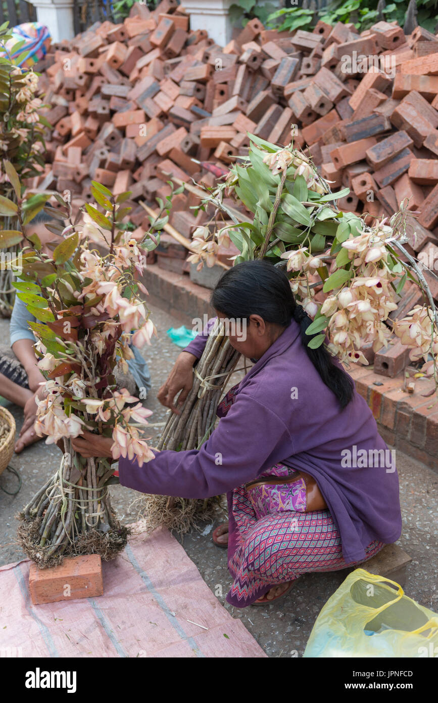LUANG PRABANG, LAOS MARCH 12, 2017 Vertical picture of Lao native