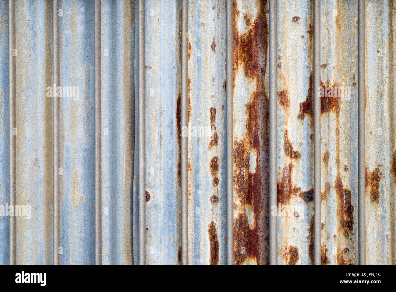 Galvanized metal fence hires stock photography and images Alamy