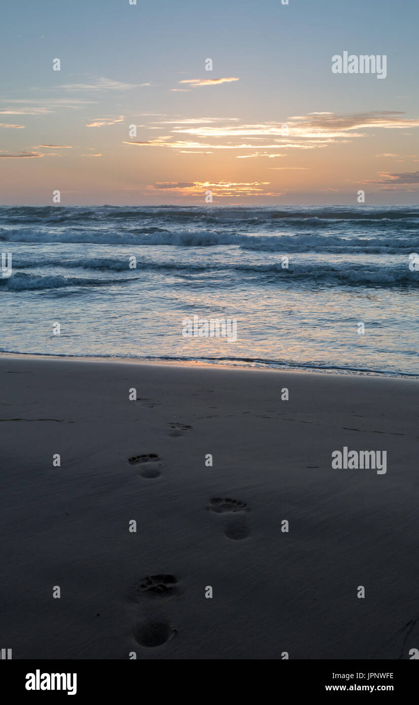 Portrait View of Beach Sunset with Foot Prints in the Foreground Stock Photo