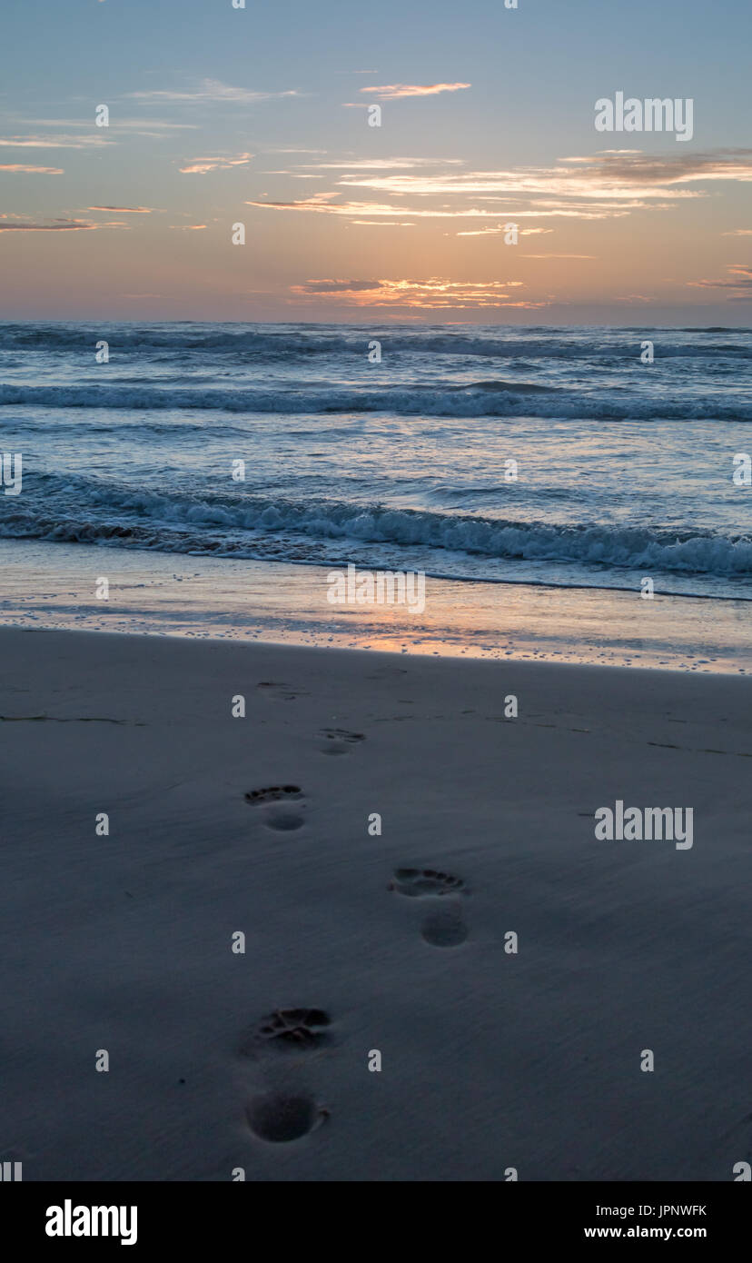 View of Footsteps Leading to Ocean During Sunset Stock Photo