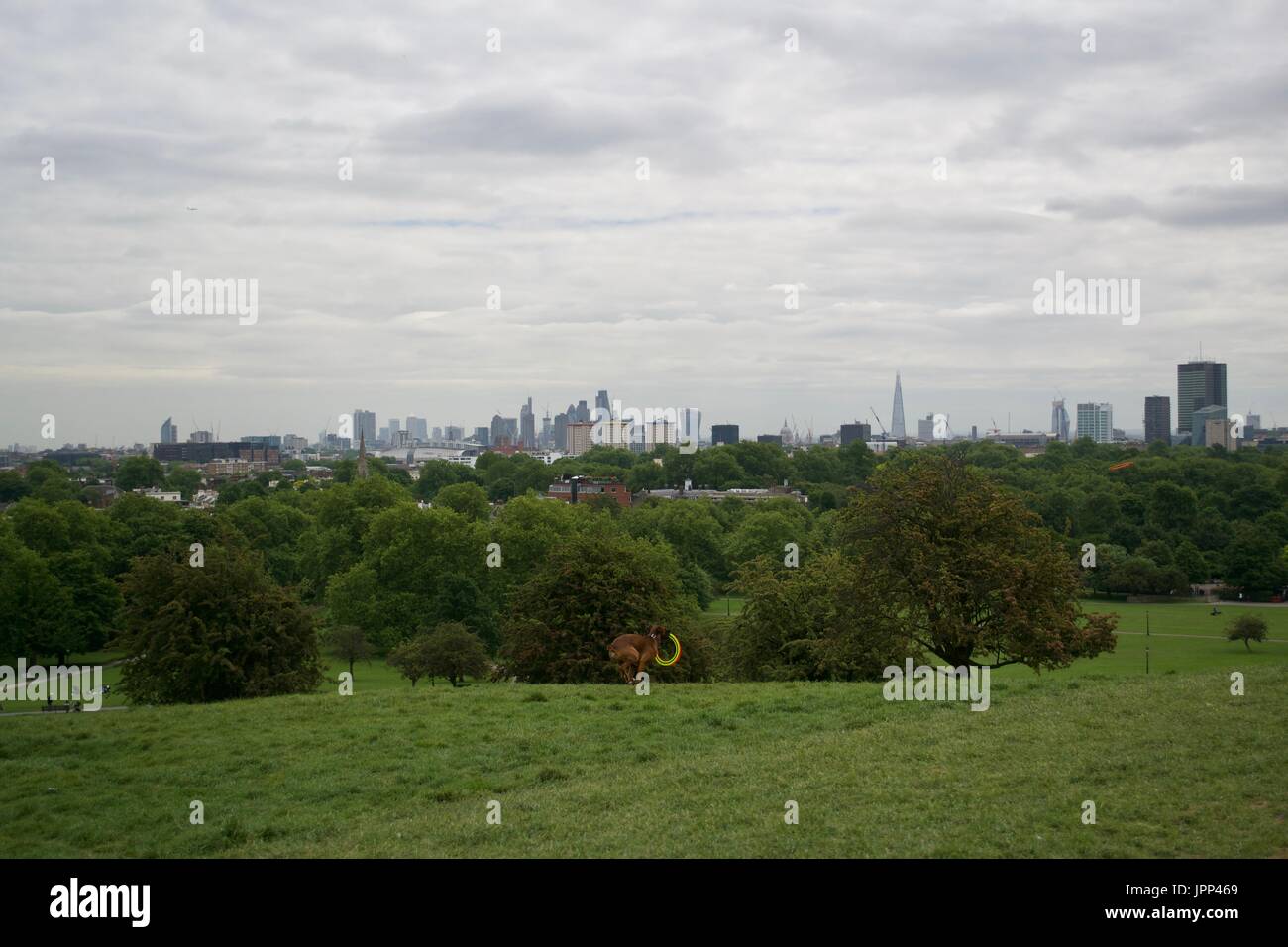 London Parks - Primrose Hill - UK Stock Photo