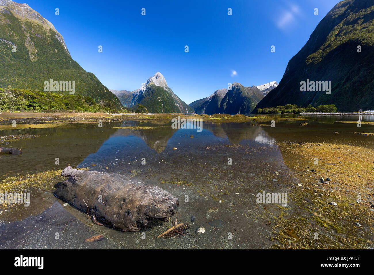 Milford Sound near Queenstown at South Island New Zealand Stock Photo