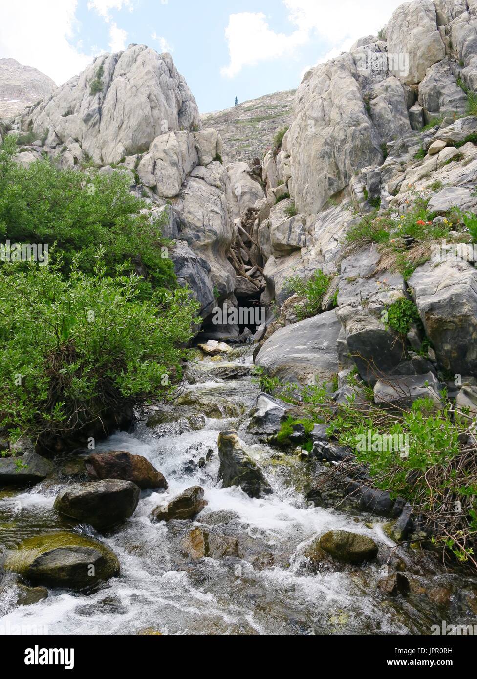 Glacial melt cutting through granite outcropping, fast flowing stream channeling through solid rock, White Chief Canyon, Sequoia National Park Stock Photo