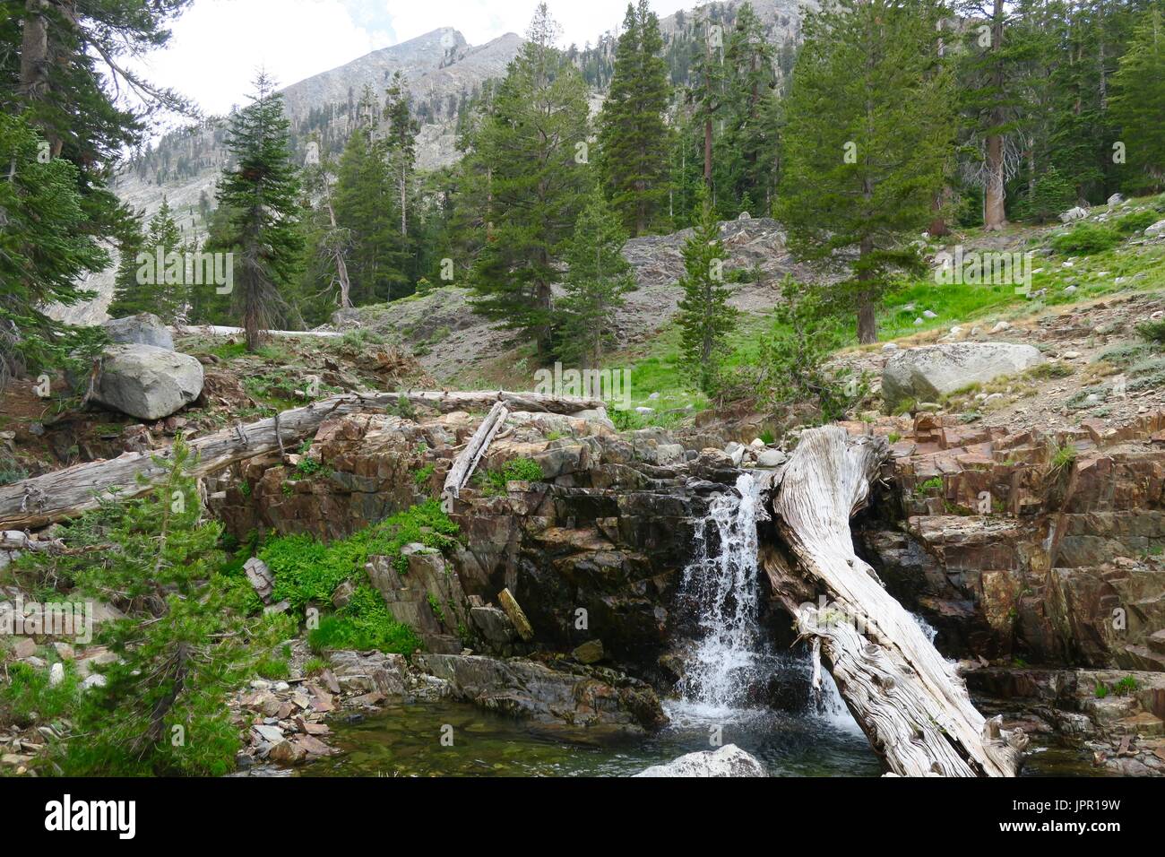 High mountain falls, White Chief Canyon, Sequoia National Park, California Stock Photo