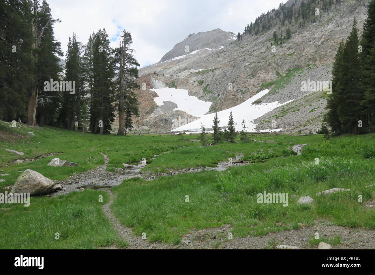 White Chief Canyon, Sequoia National Park, California Stock Photo