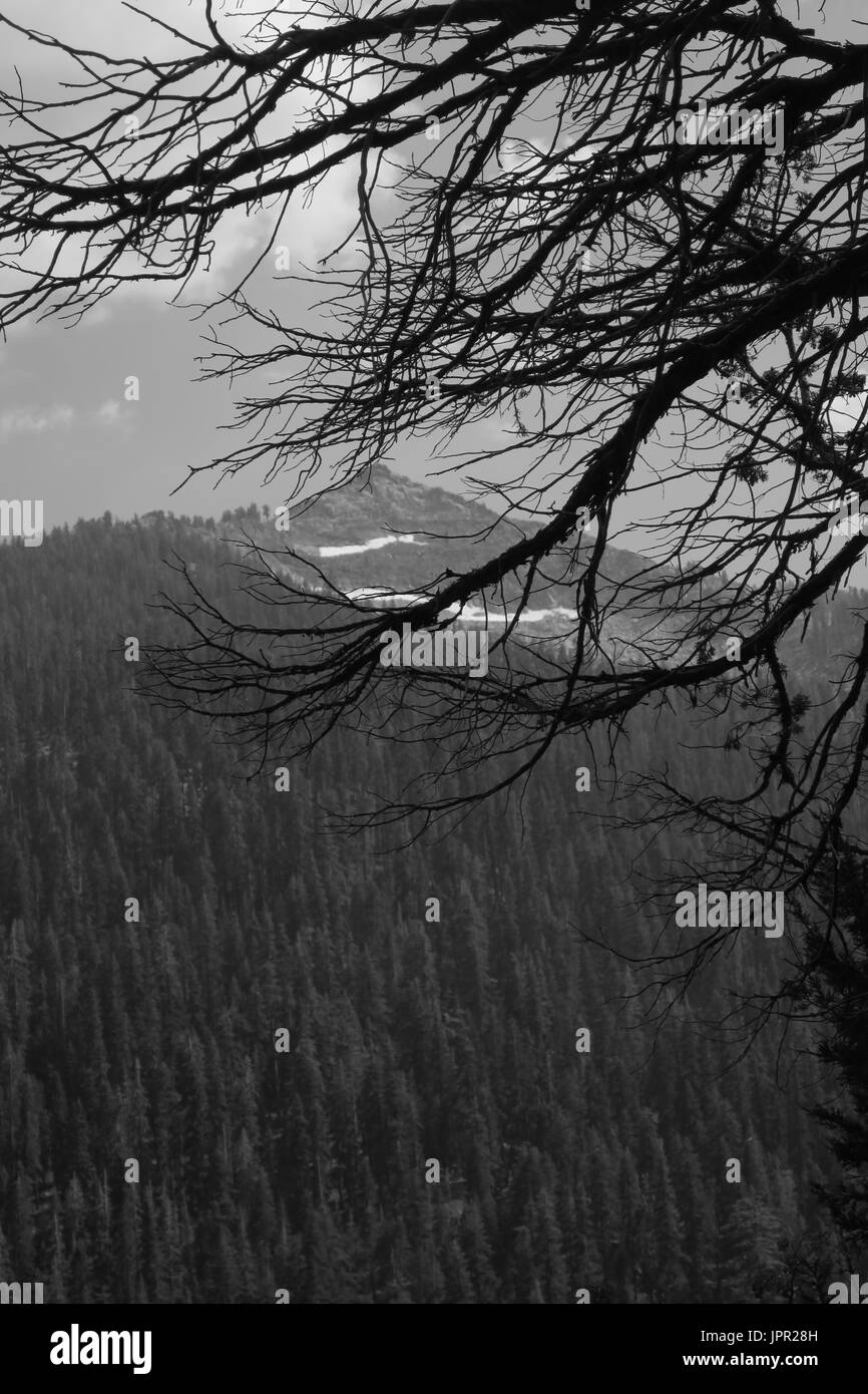 Peak over Mineral King Valley, Sequoia National Park, California Stock Photo