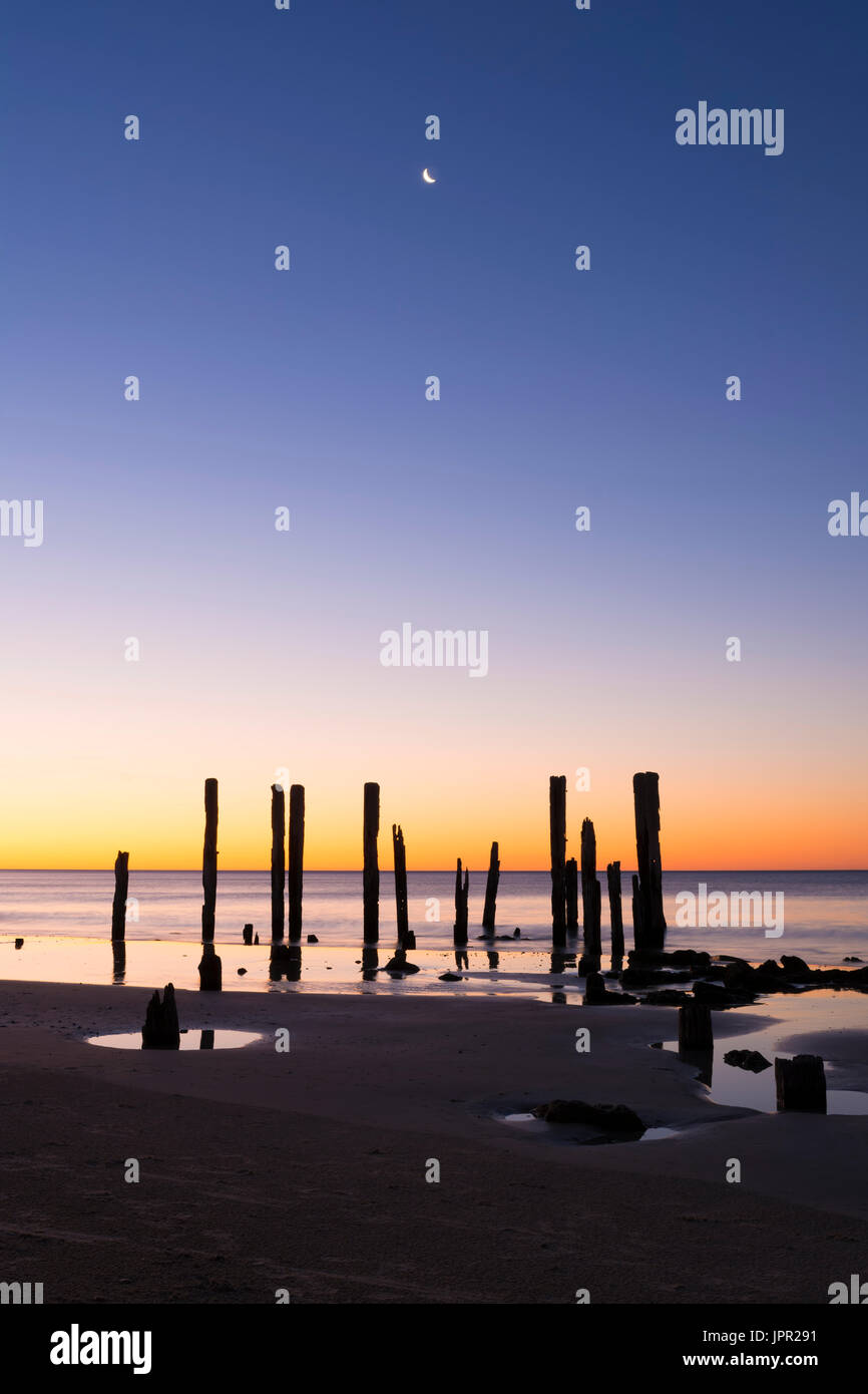 The old jetty ruins on Port Willunga Beach, South Australia at sunset with the moon making it's appearance. Known as the sticks by locals and situated Stock Photo