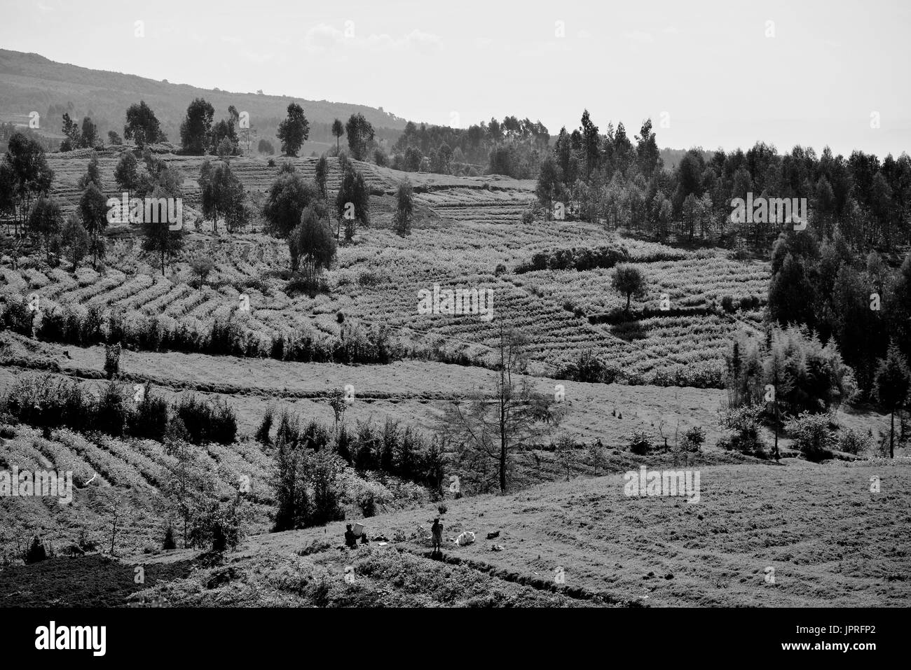 African nation Black and White Stock Photos & Images - Alamy
