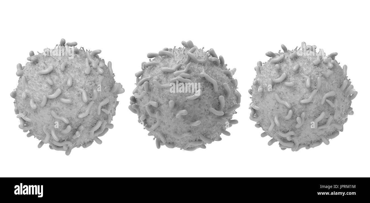 3d rendering white blood cell isolated on white Stock Photo